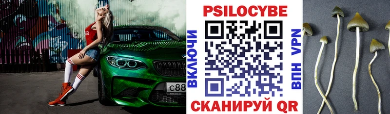 Галлюциногенные грибы MAGIC MUSHROOMS  сколько стоит  Кондрово 